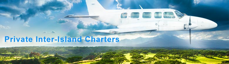 hawaii-air-charters-service