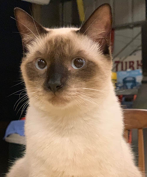 CIRRUS
