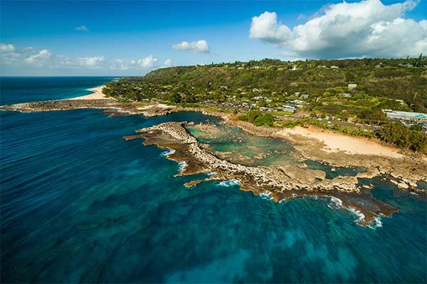 Sharks Cove aviation staff